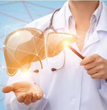 Things to know about Liver Cancer- Symptoms, Diagnosis and Treatment